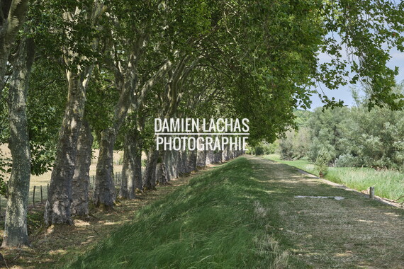 vnf dtcb reservoir panthier infrastructure 007