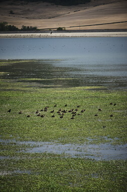 vnf dtcb reservoir panthier infrastructure 027