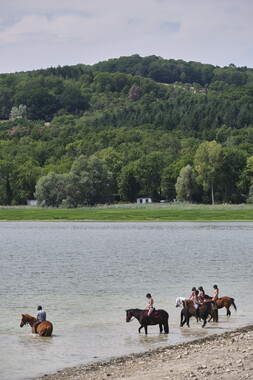 vnf dtcb reservoir panthier plage 039