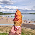 vnf dtne lac liez 033