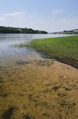 vnf plage lac panneciere photo 018