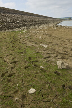 vnf barrage reservoir vingeanne 005