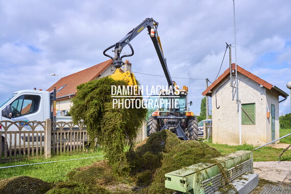 vnf dtcb canal centre plante envahissante agent vnf 001