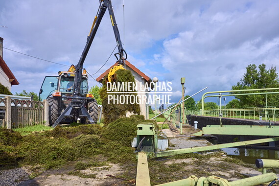 vnf dtcb canal centre plante envahissante agent vnf 002