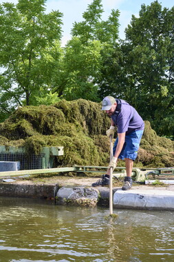 vnf dtcb canal centre plante envahissante agent vnf 005