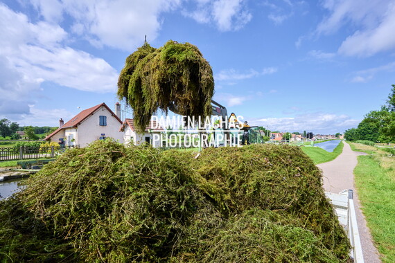 vnf dtcb canal centre plante envahissante agent vnf 009