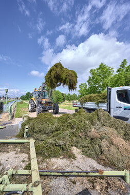 vnf dtcb canal centre plante envahissante agent vnf 013