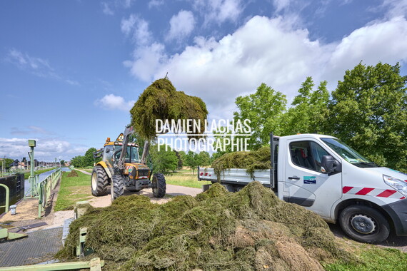 vnf dtcb canal centre plante envahissante agent vnf 014