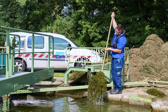 vnf dtcb canal centre plante envahissante agent vnf 017