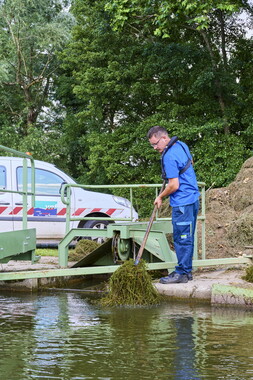 vnf dtcb canal centre plante envahissante agent vnf 018