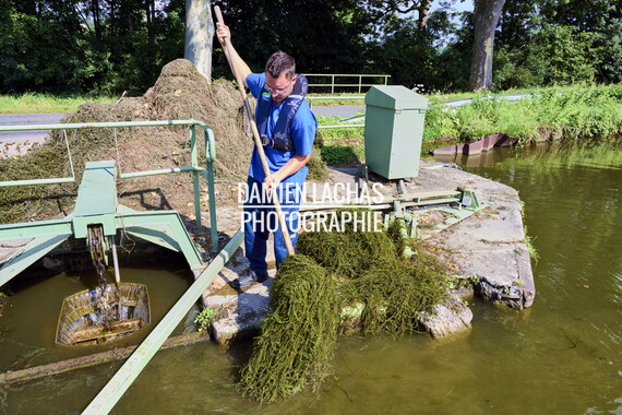 vnf dtcb canal centre plante envahissante agent vnf 019