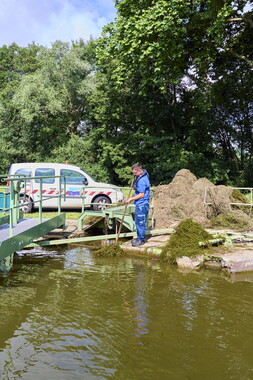 vnf dtcb canal centre plante envahissante agent vnf 020