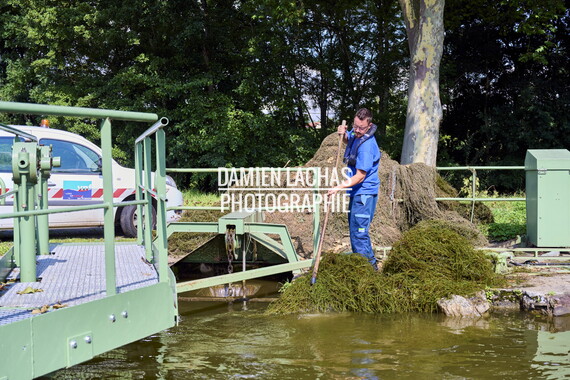 vnf dtcb canal centre plante envahissante agent vnf 024