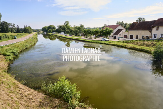 vnf dtcb canal centre plante envahissante biodiversite 014