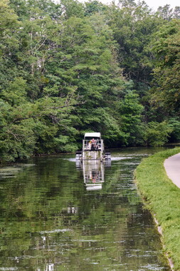 vnf dtcb canal centre plante envahissante faucardage 001