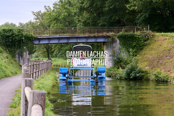 vnf dtcb canal centre plante envahissante faucardage 004