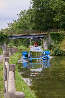 vnf dtcb canal centre plante envahissante faucardage 005