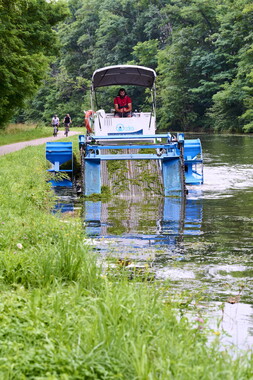 vnf dtcb canal centre plante envahissante faucardage 007