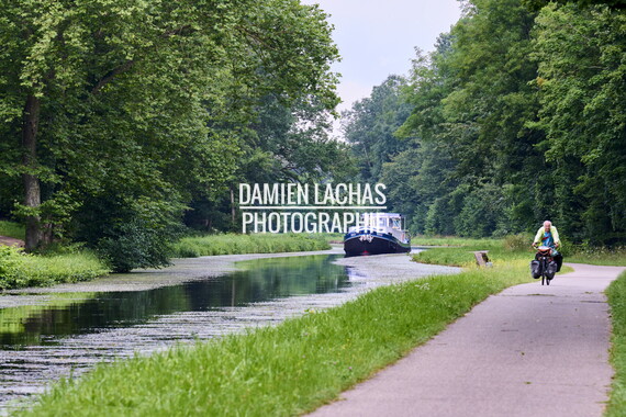 vnf dtcb canal centre plante envahissante faucardage 009