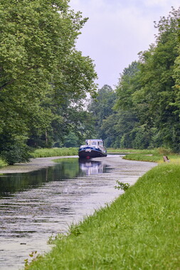 vnf dtcb canal centre plante envahissante faucardage 010