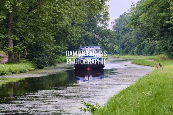 vnf dtcb canal centre plante envahissante faucardage 011
