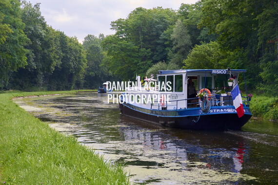 vnf dtcb canal centre plante envahissante faucardage 012