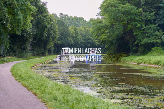 vnf dtcb canal centre plante envahissante faucardage 014