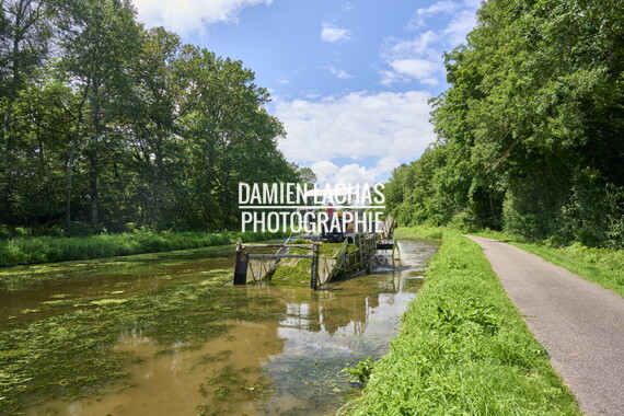 vnf dtcb canal centre plante envahissante faucardage 015
