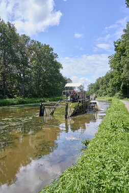 vnf dtcb canal centre plante envahissante faucardage 016