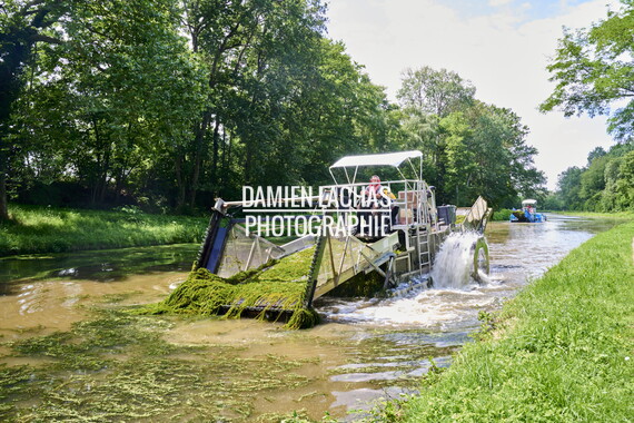 vnf dtcb canal centre plante envahissante faucardage 018
