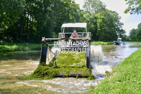 vnf dtcb canal centre plante envahissante faucardage 019