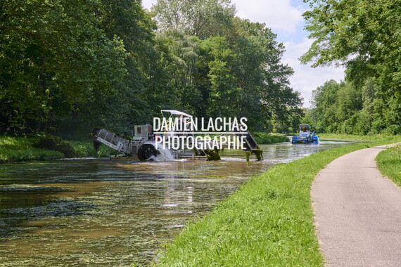 vnf dtcb canal centre plante envahissante faucardage 021