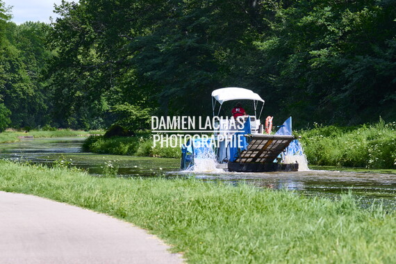 vnf dtcb canal centre plante envahissante faucardage 023