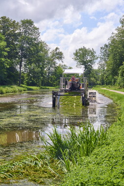 vnf dtcb canal centre plante envahissante faucardage 026