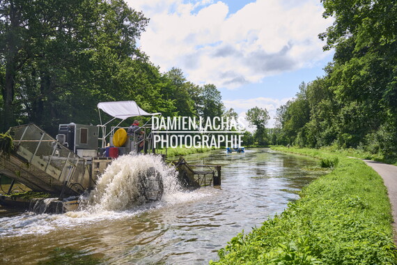 vnf dtcb canal centre plante envahissante faucardage 027