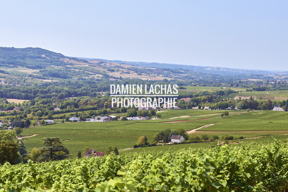 vnf dtcb canal centre vignes 006