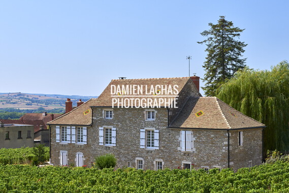 vnf dtcb canal centre vignes 007