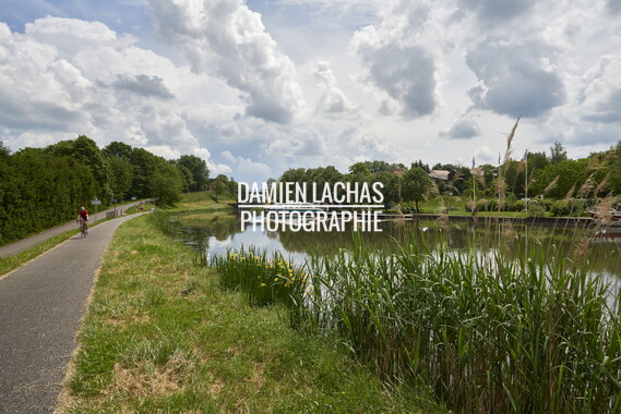 vnf canal houilleres sarre harskirchen 006