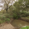 vnf canal du midi site libron 051