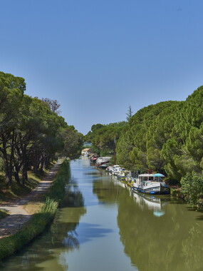 vnf cdm canal jonction salleles somail 014