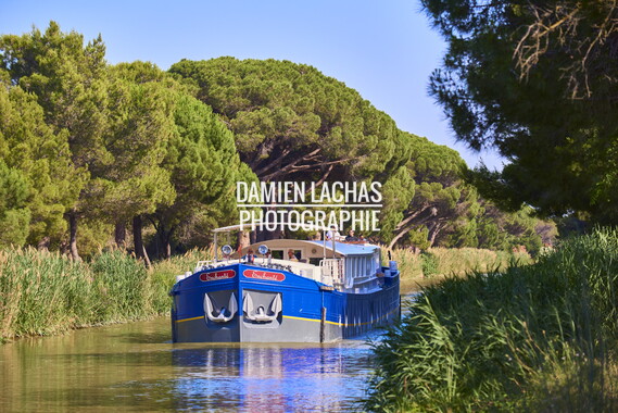 vnf cdm peniche enchante 005