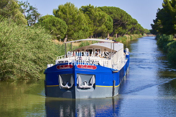 vnf cdm peniche enchante 007