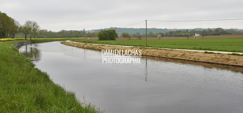 15 vnf berges vegetales dt-bourgogne-centre accolay 021