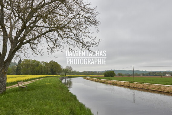 15 vnf berges vegetales dt-bourgogne-centre accolay 022