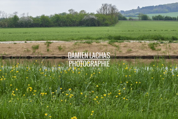 15 vnf berges vegetales dt-bourgogne-centre accolay 030