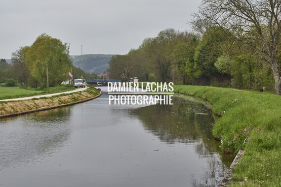 15 vnf berges vegetales dt-bourgogne-centre accolay 033
