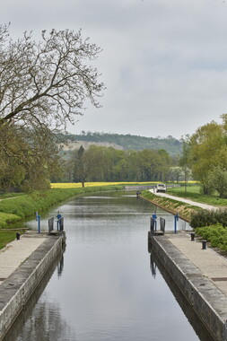 15 vnf berges vegetales dt-bourgogne-centre accolay 035