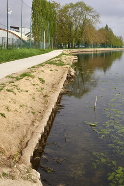 15 vnf berges vegetales dt-bourgogne-centre auxerre 005