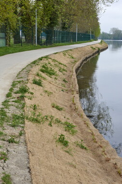 15 vnf berges vegetales dt-bourgogne-centre auxerre 018