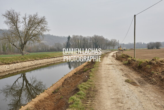 vnf berges vegetales dt-bourgogne-centre accolay berges vegetales 005